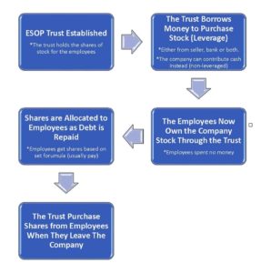 A flow chart of an Employee Stock Option Plan (ESOP)